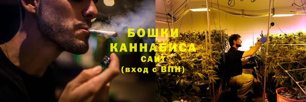 ГАЛЛЮЦИНОГЕННЫЕ ГРИБЫ Балабаново