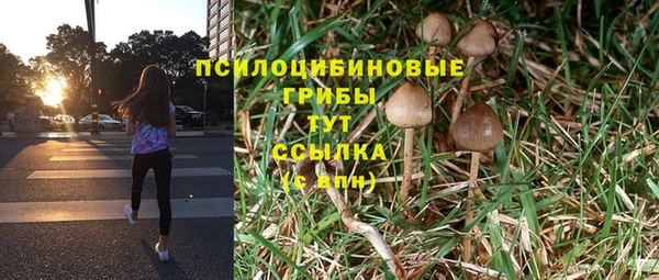 ГАЛЛЮЦИНОГЕННЫЕ ГРИБЫ Балабаново