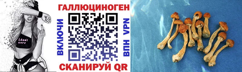 Псилоцибиновые грибы GOLDEN TEACHER  Купить где  Моздок 